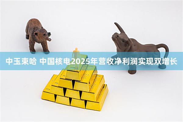 中玉束哈 中国核电2025年营收净利润实现双增长