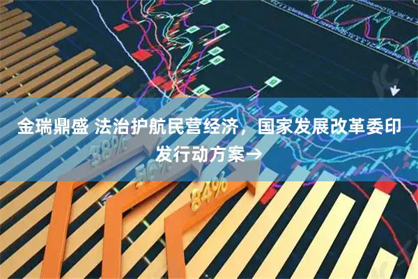 金瑞鼎盛 法治护航民营经济，国家发展改革委印发行动方案→