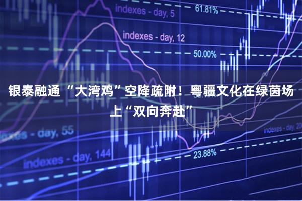 银泰融通 “大湾鸡”空降疏附！粤疆文化在绿茵场上“双向奔赴”